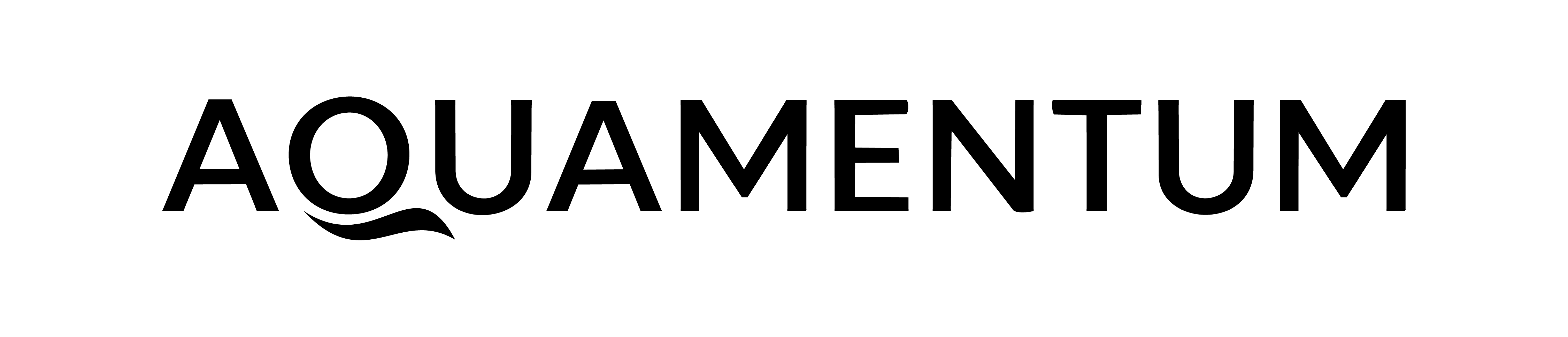 Aquamentum